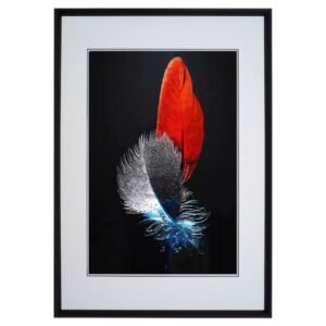 Suzhou Embroidery: Phoenix Feather